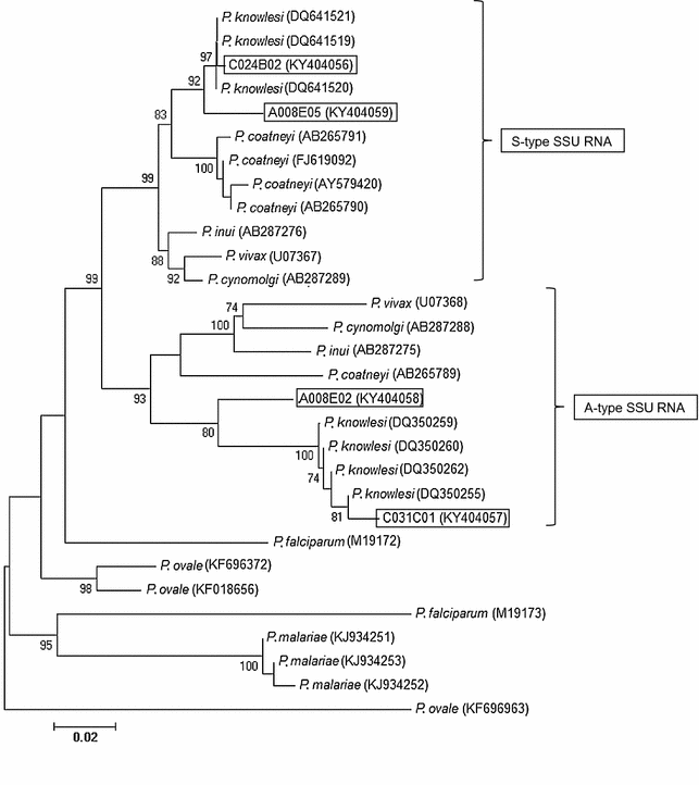 Fig. 4