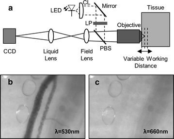 Fig. 2