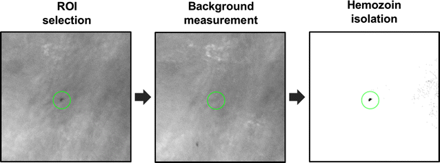 Fig. 3