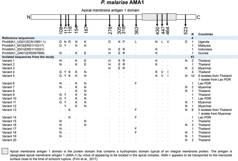 Fig. 4