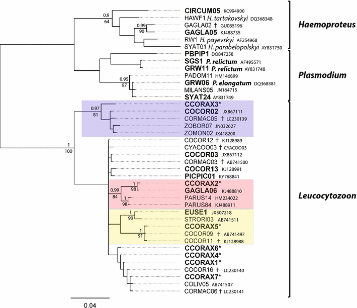 Fig. 1