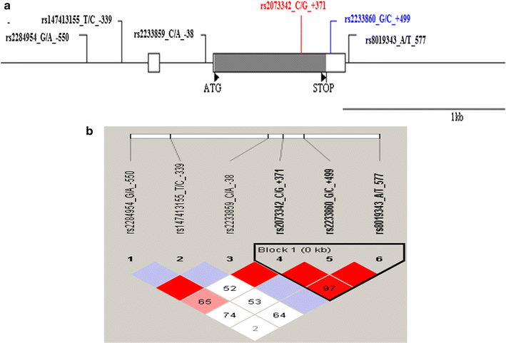 Fig. 1