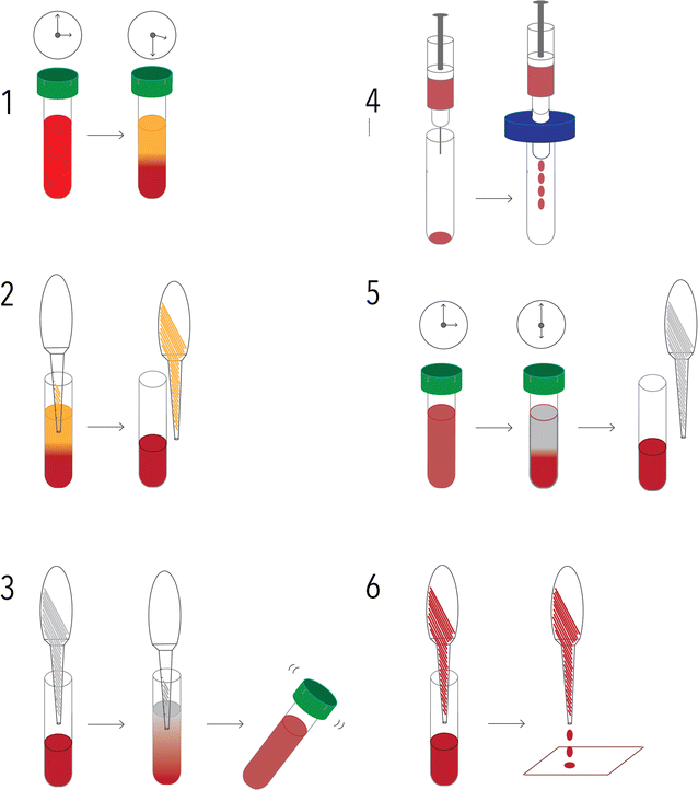 Fig. 1