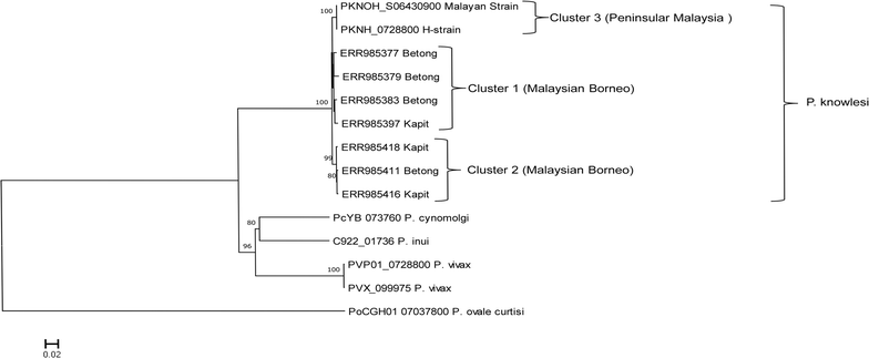 Fig. 3