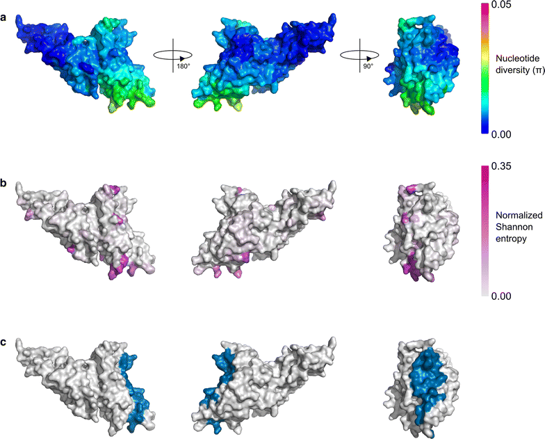 Fig. 4