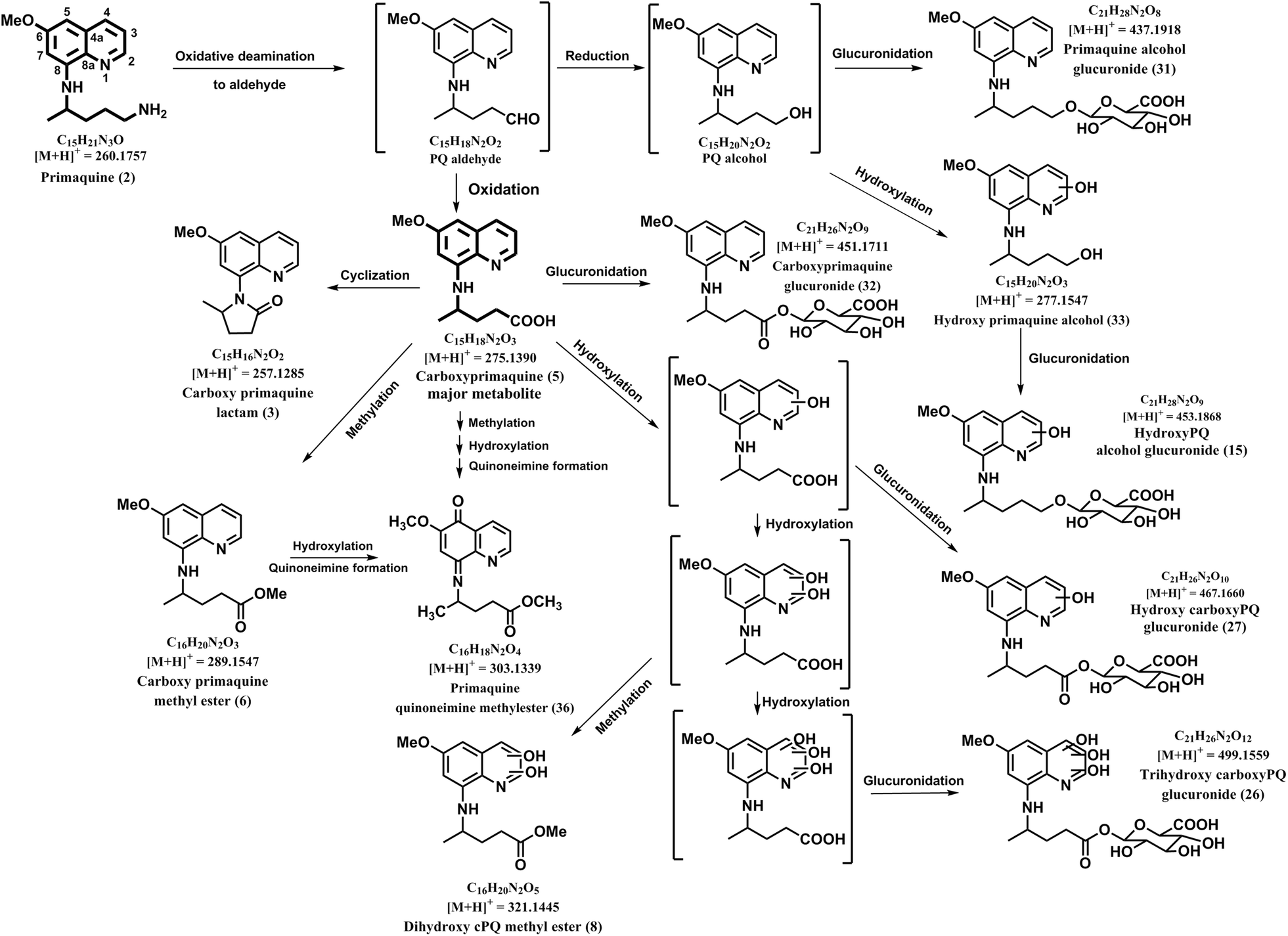 Fig. 3