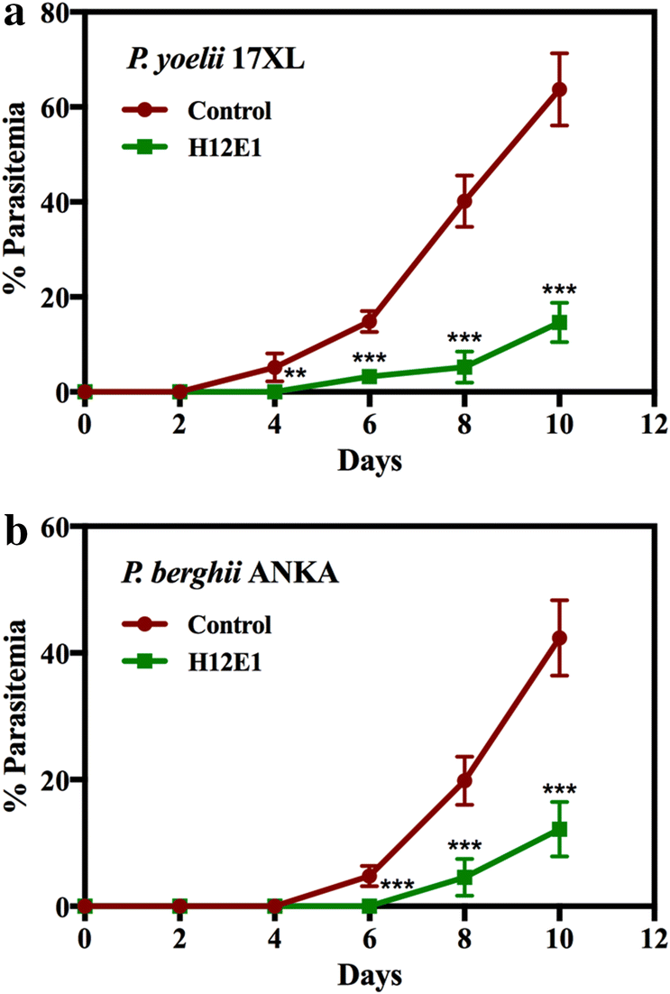 Fig. 5