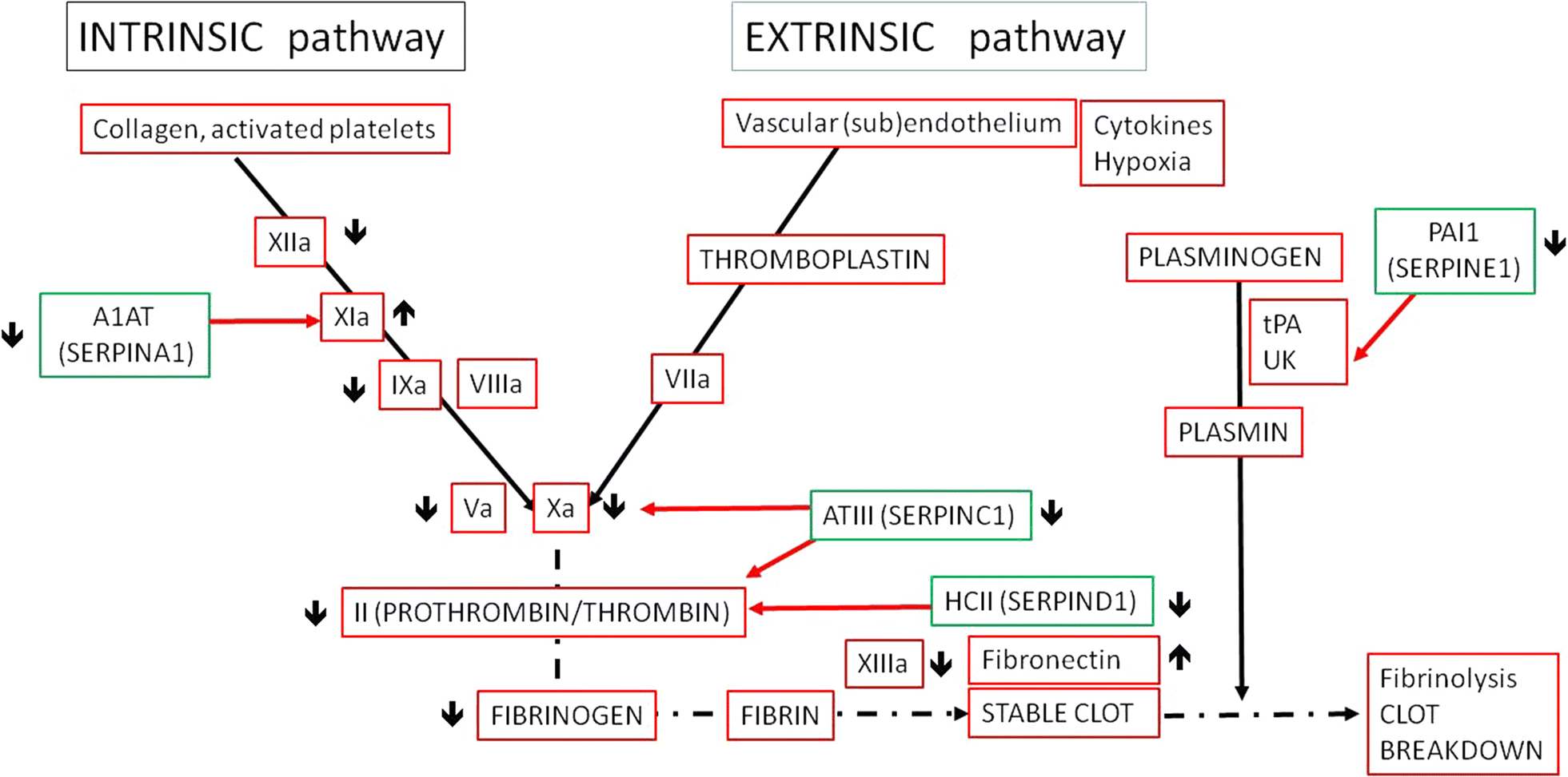 Fig. 3