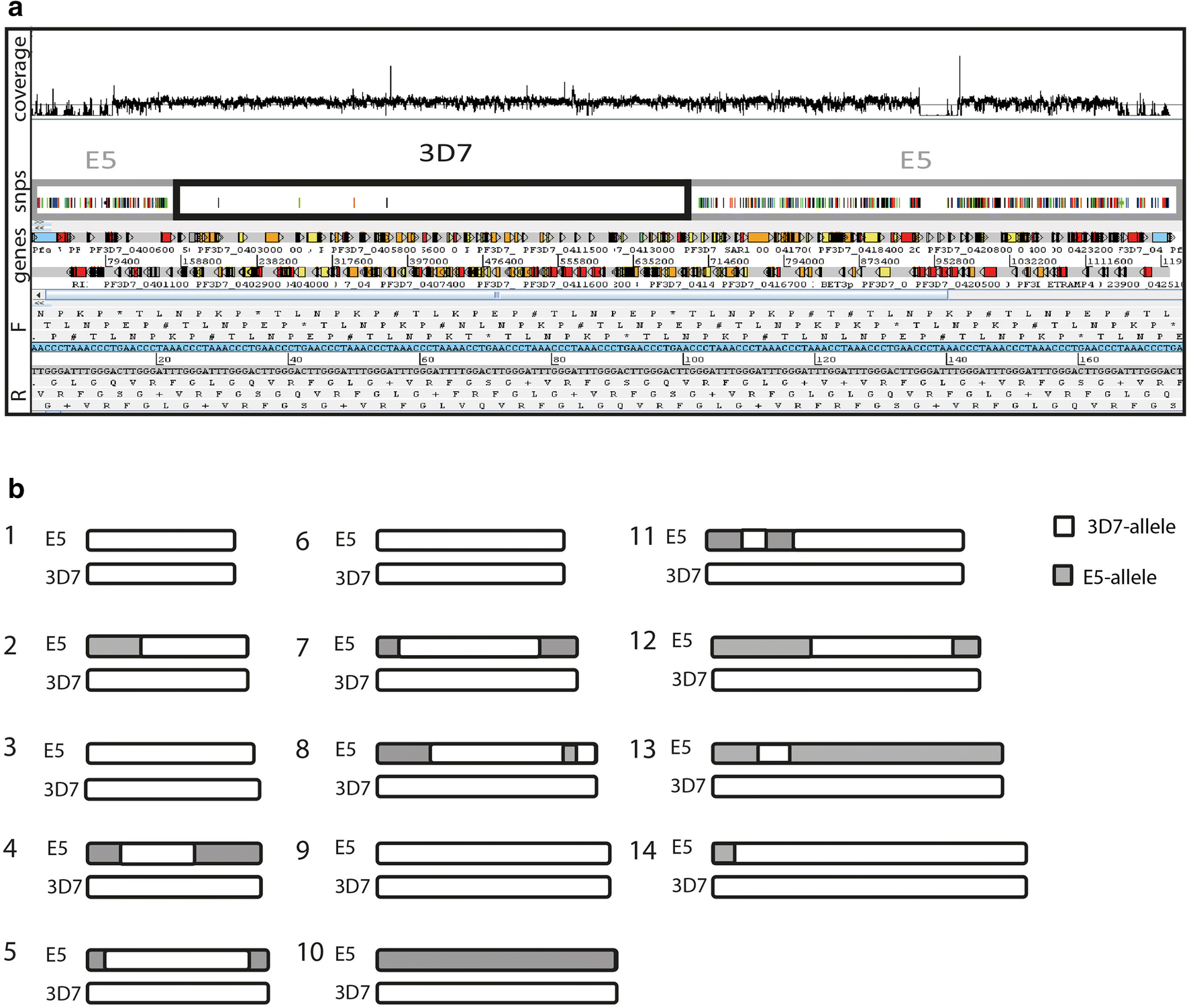 Fig. 1