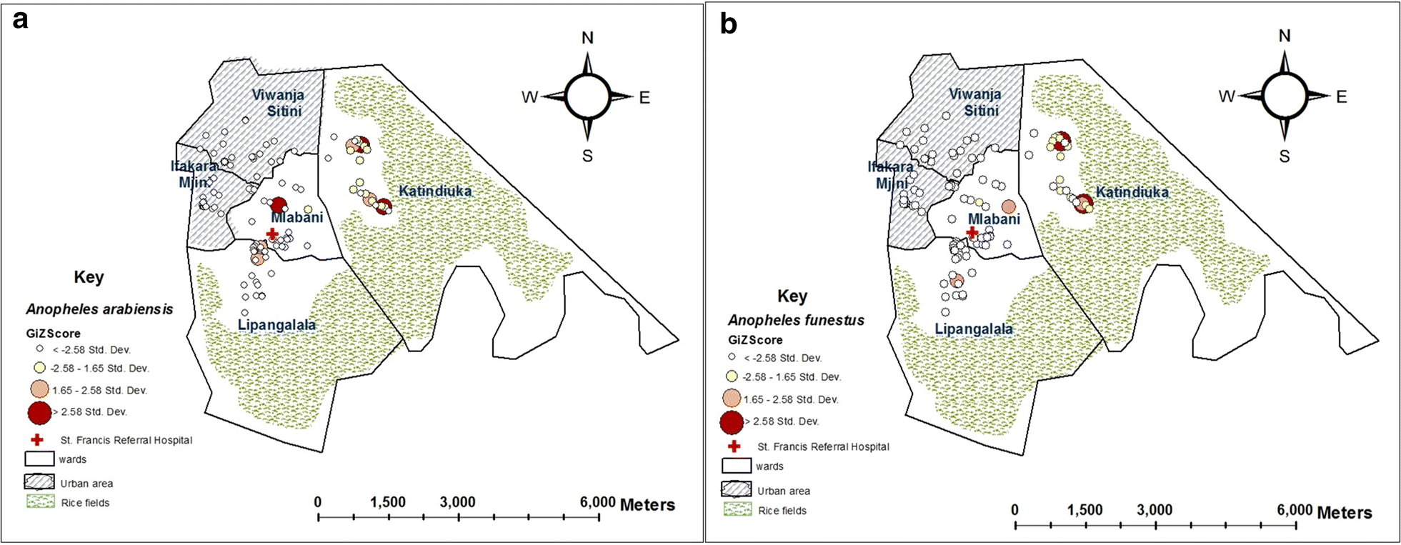 Fig. 6