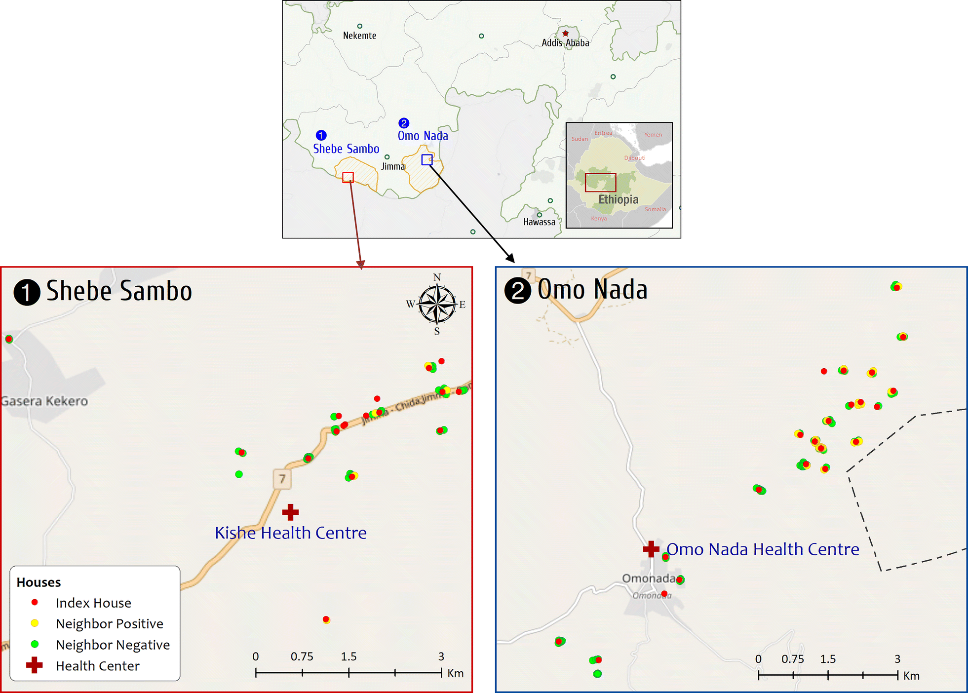 Fig. 1