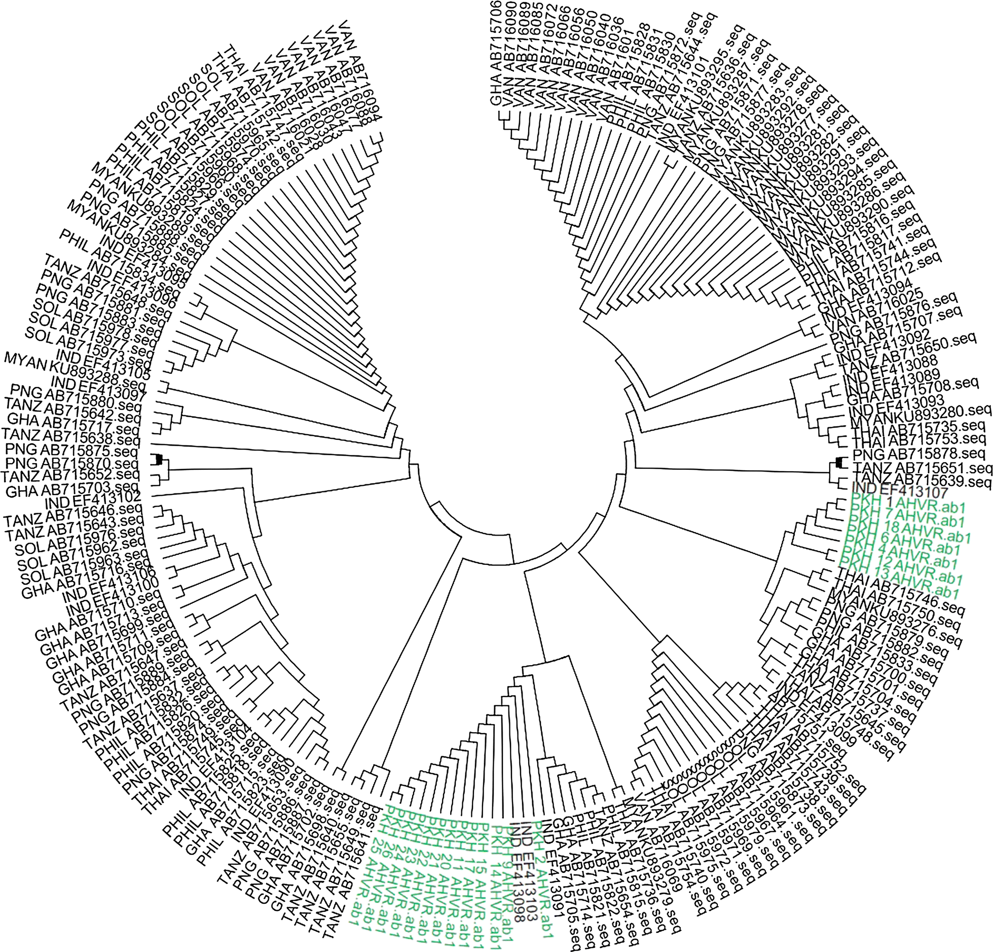 Fig. 4