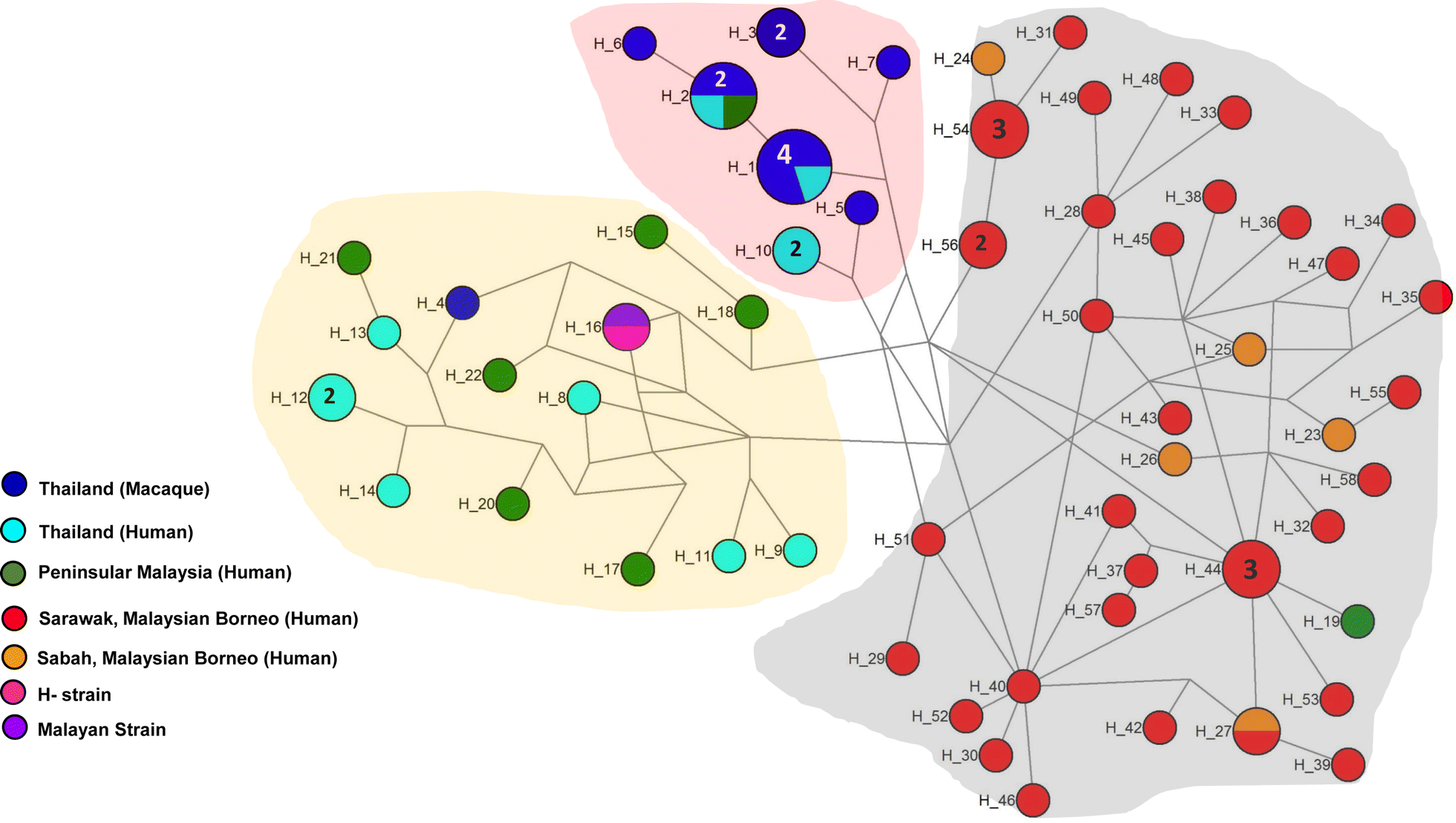 Fig. 2