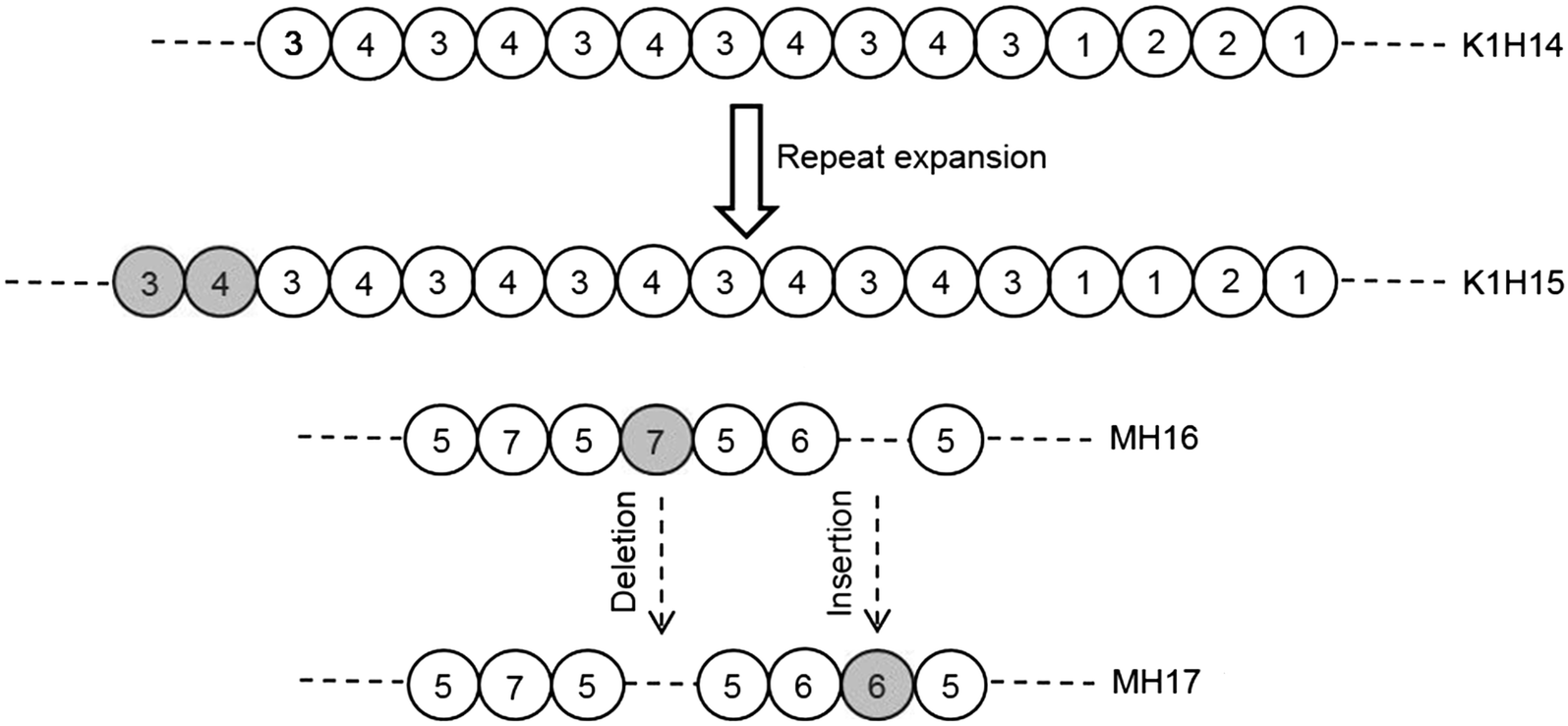 Fig. 4