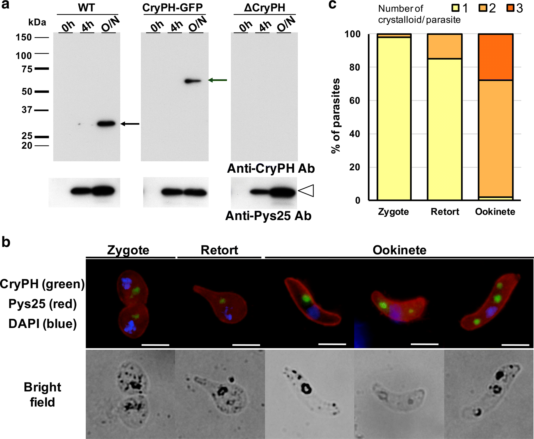 Fig. 3