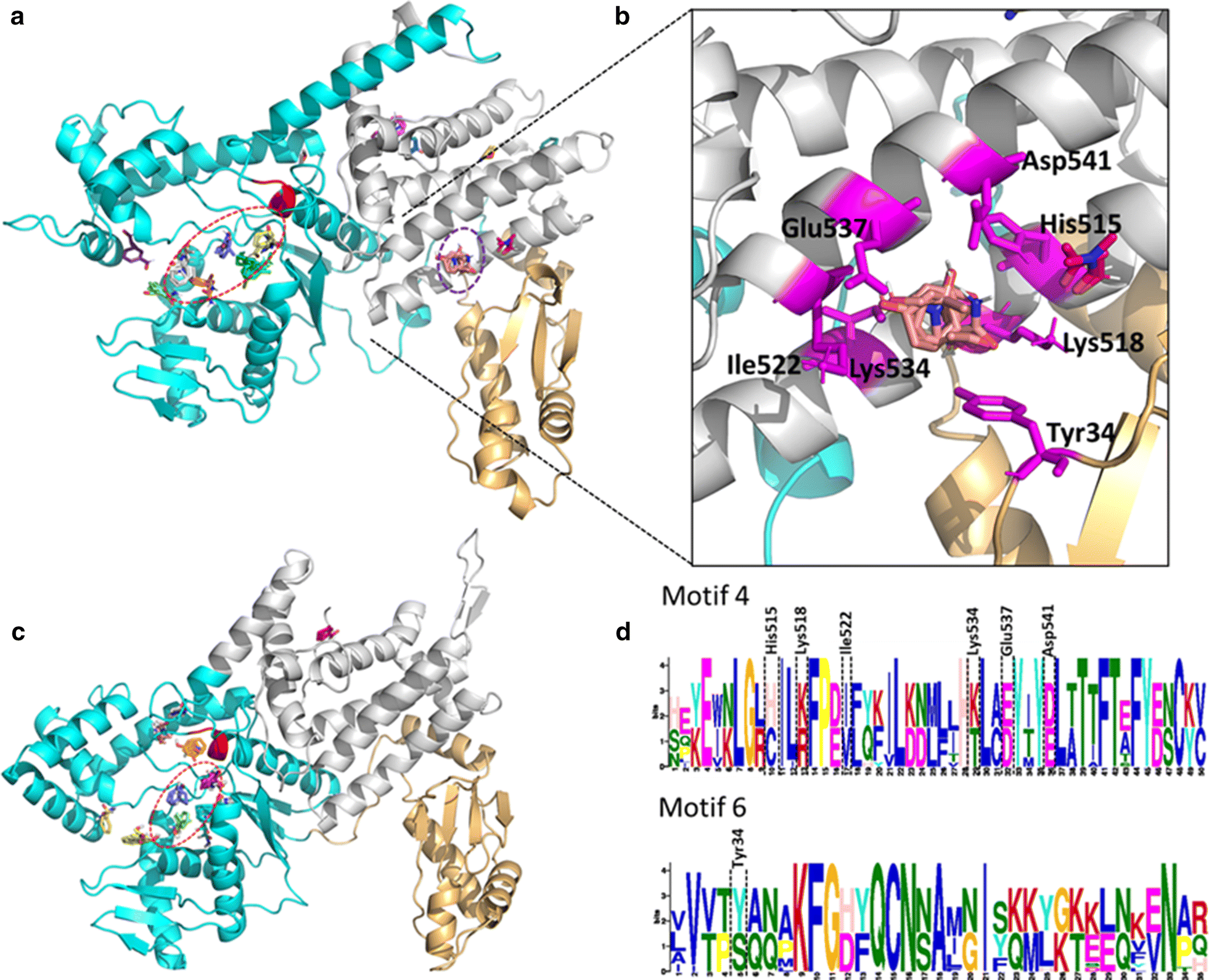 Fig. 11