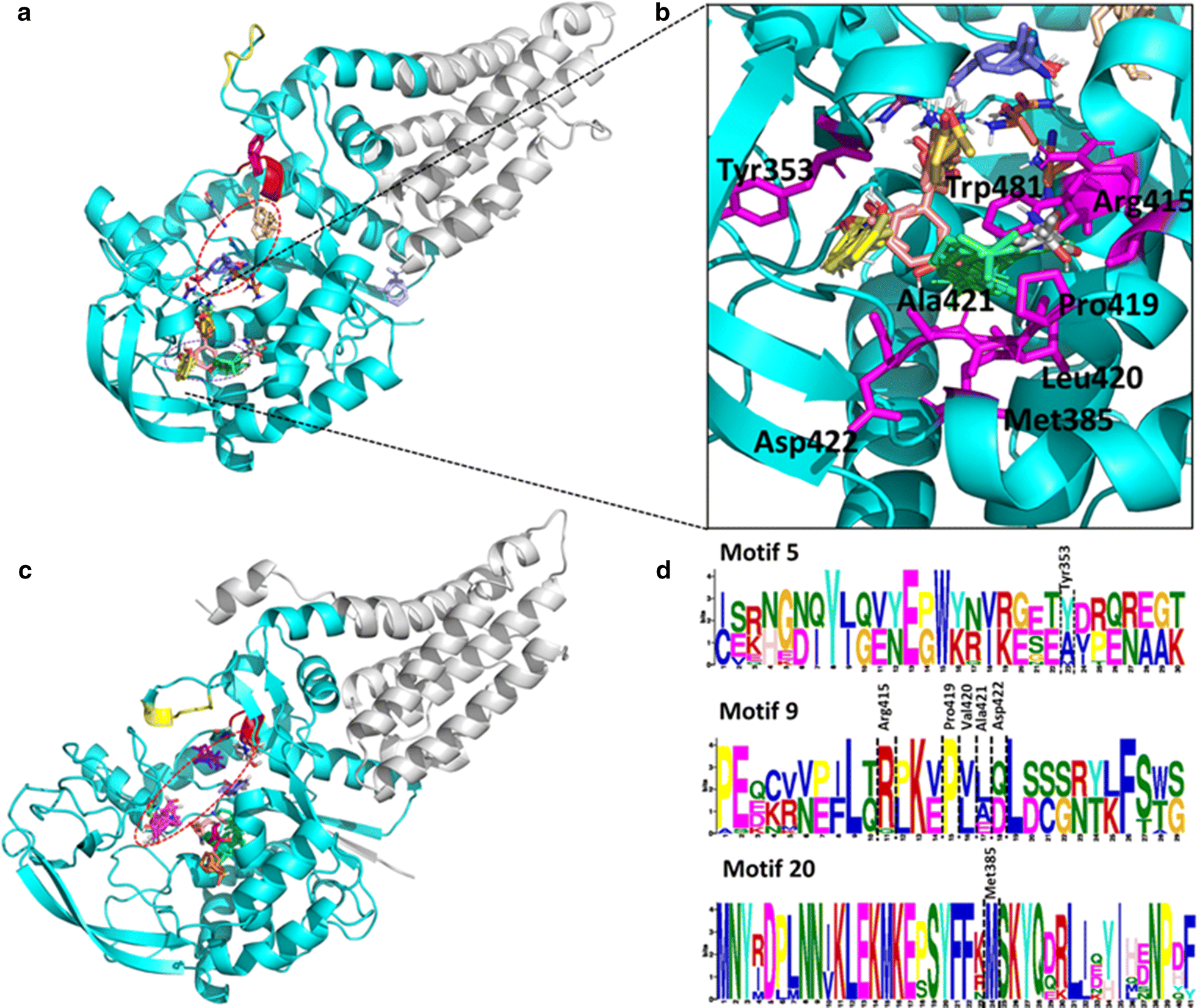 Fig. 12