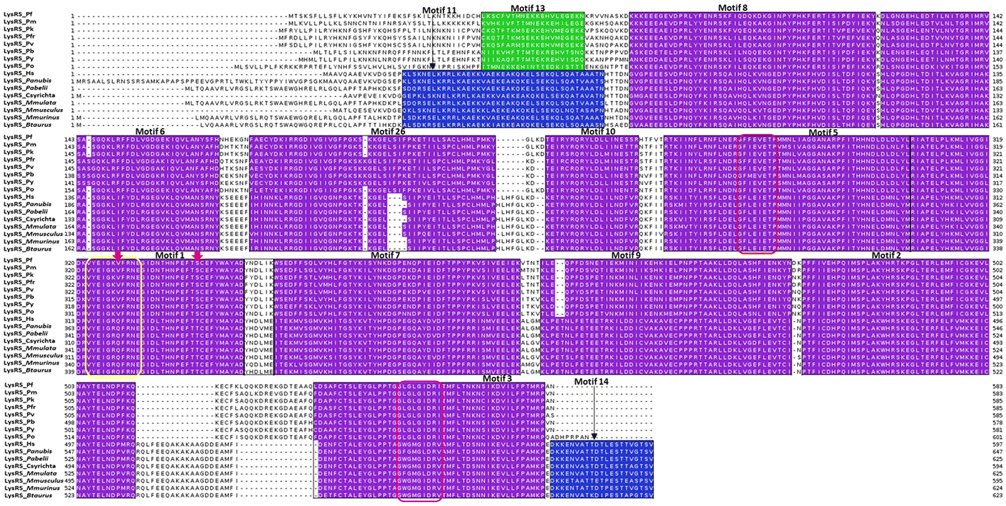 Fig. 6