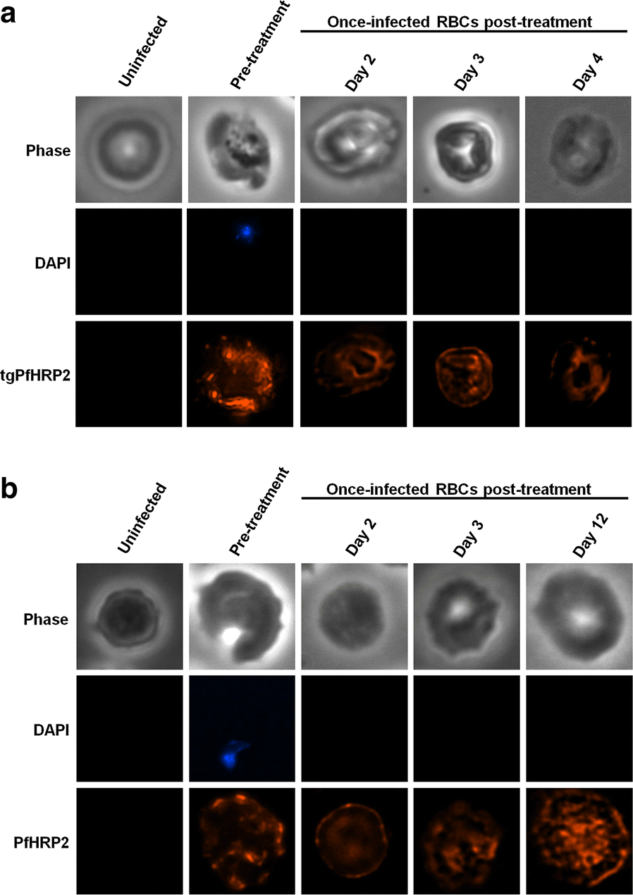 Fig. 6