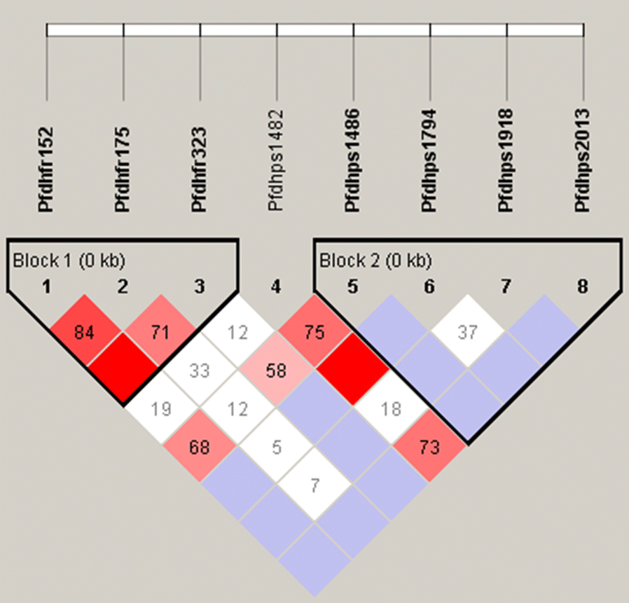 Fig. 1