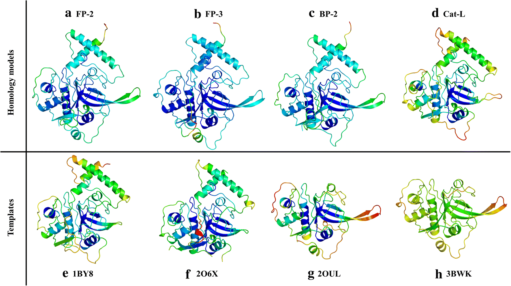 Fig. 3