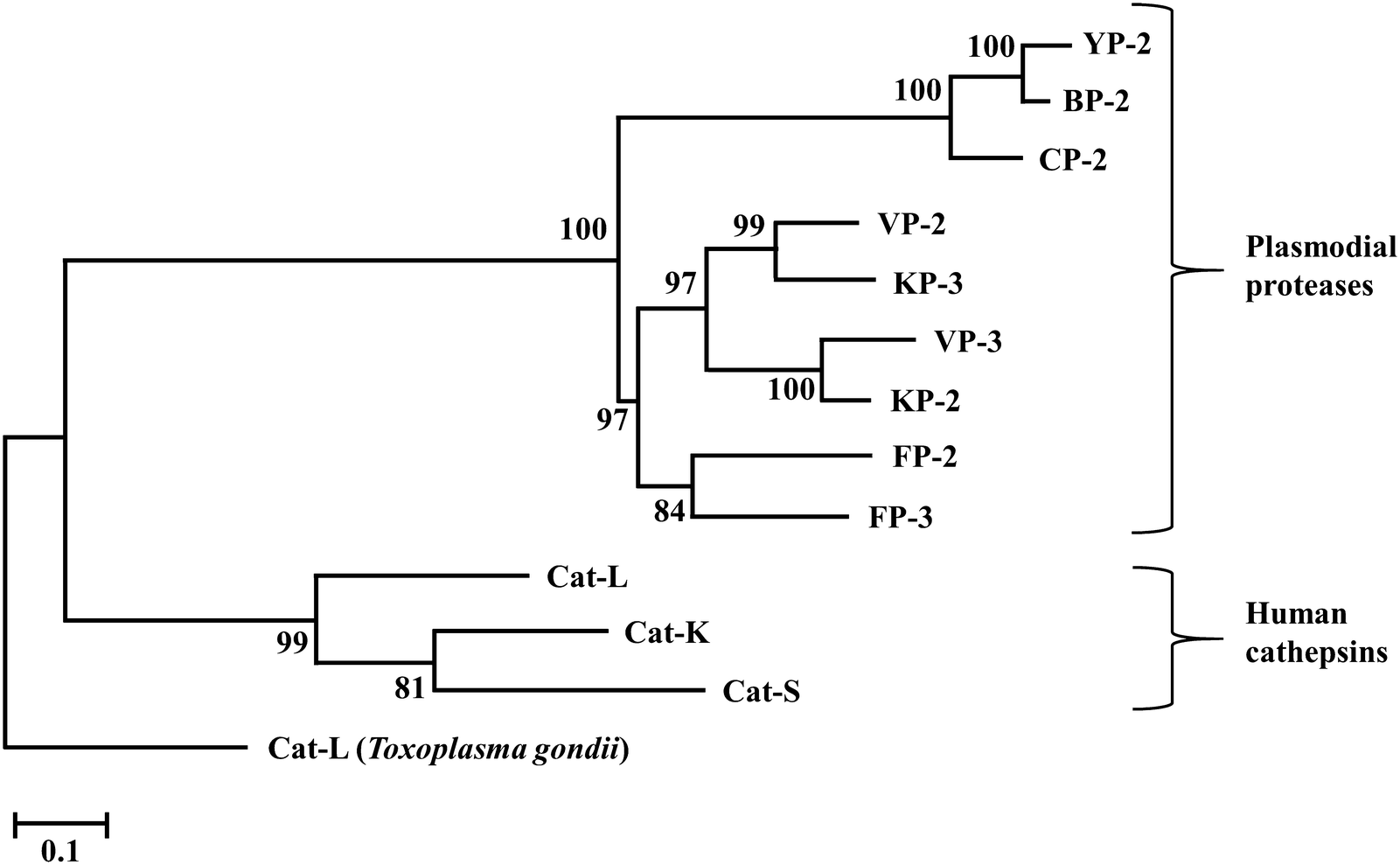 Fig. 5