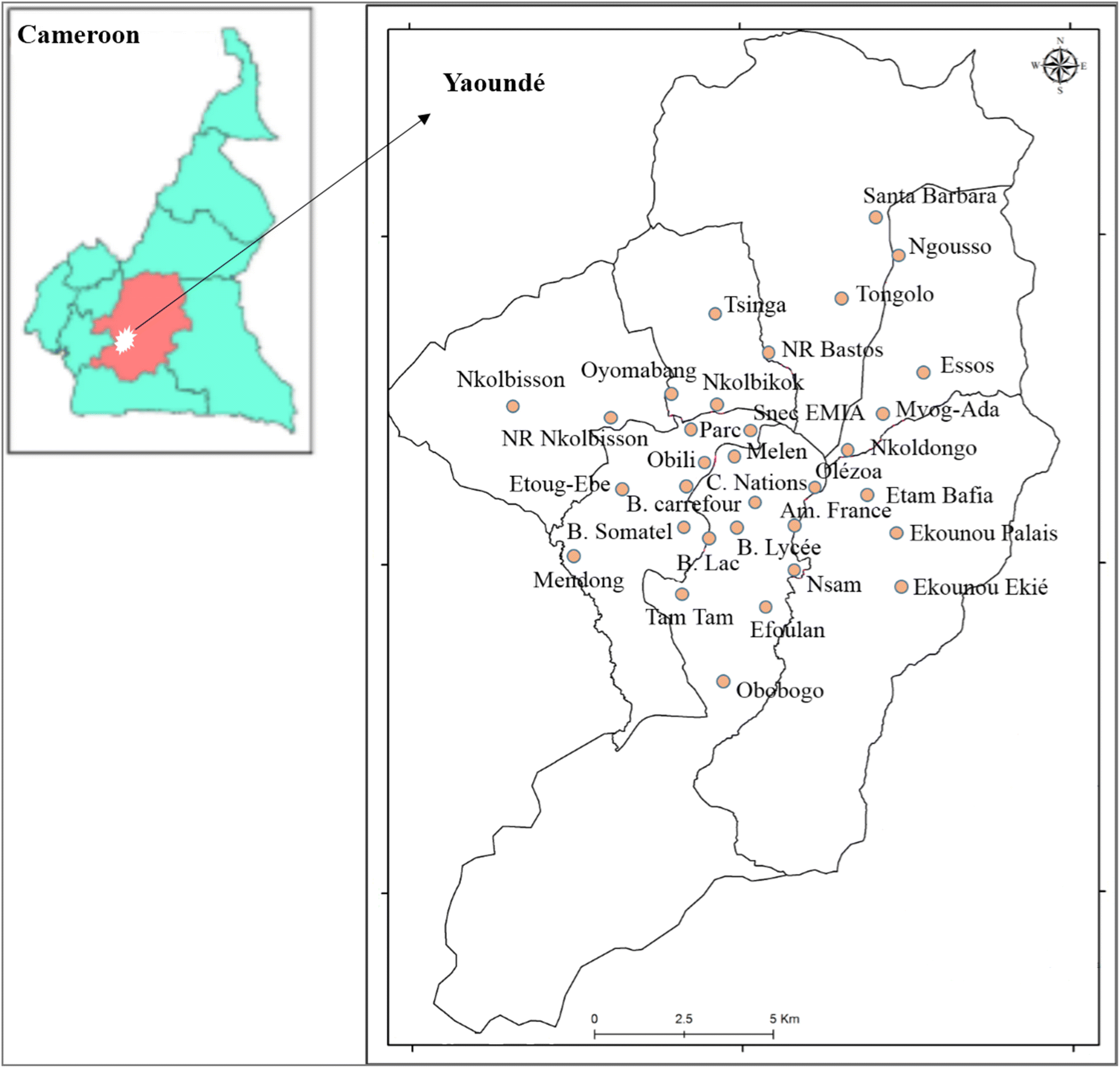 Fig. 1