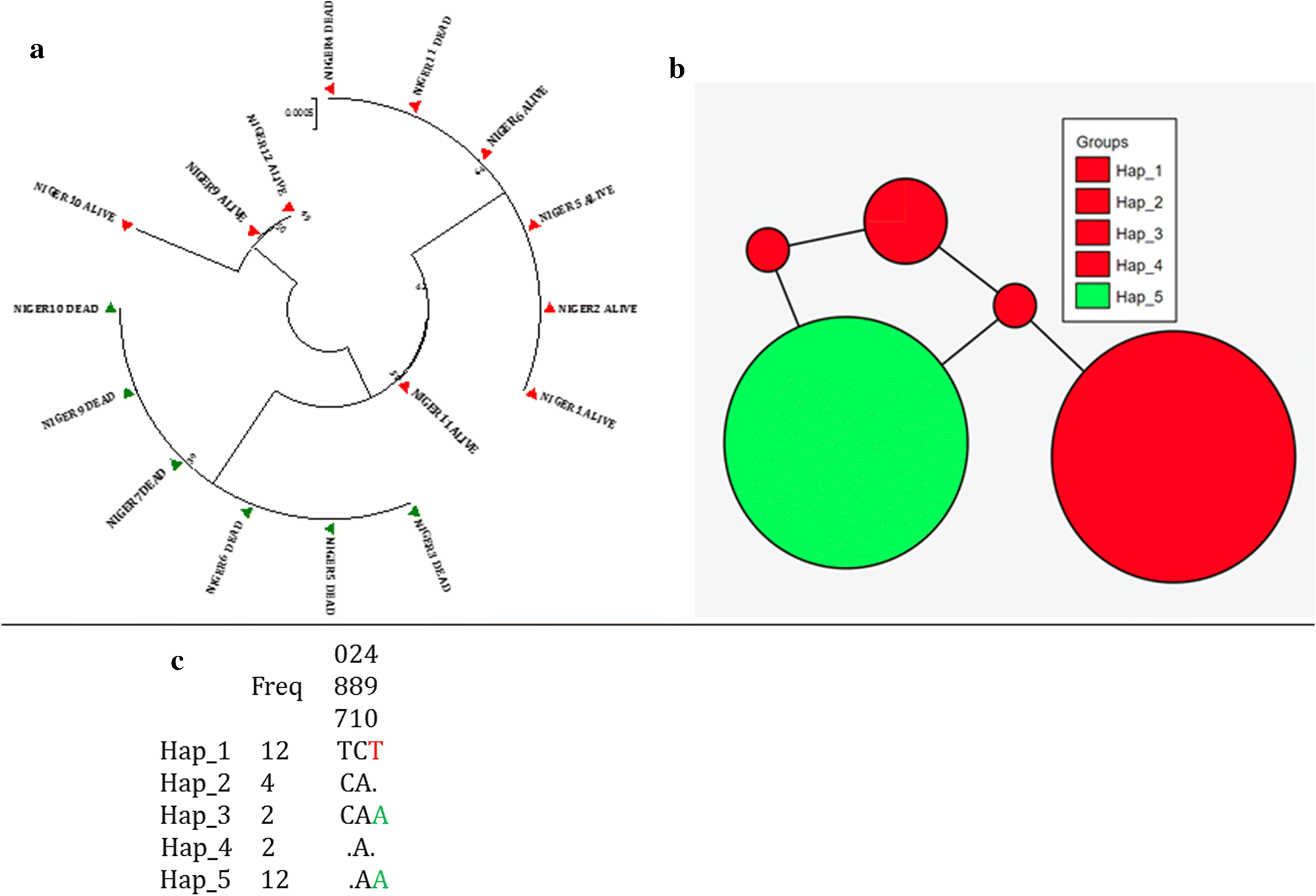 malaria journal biomed central
