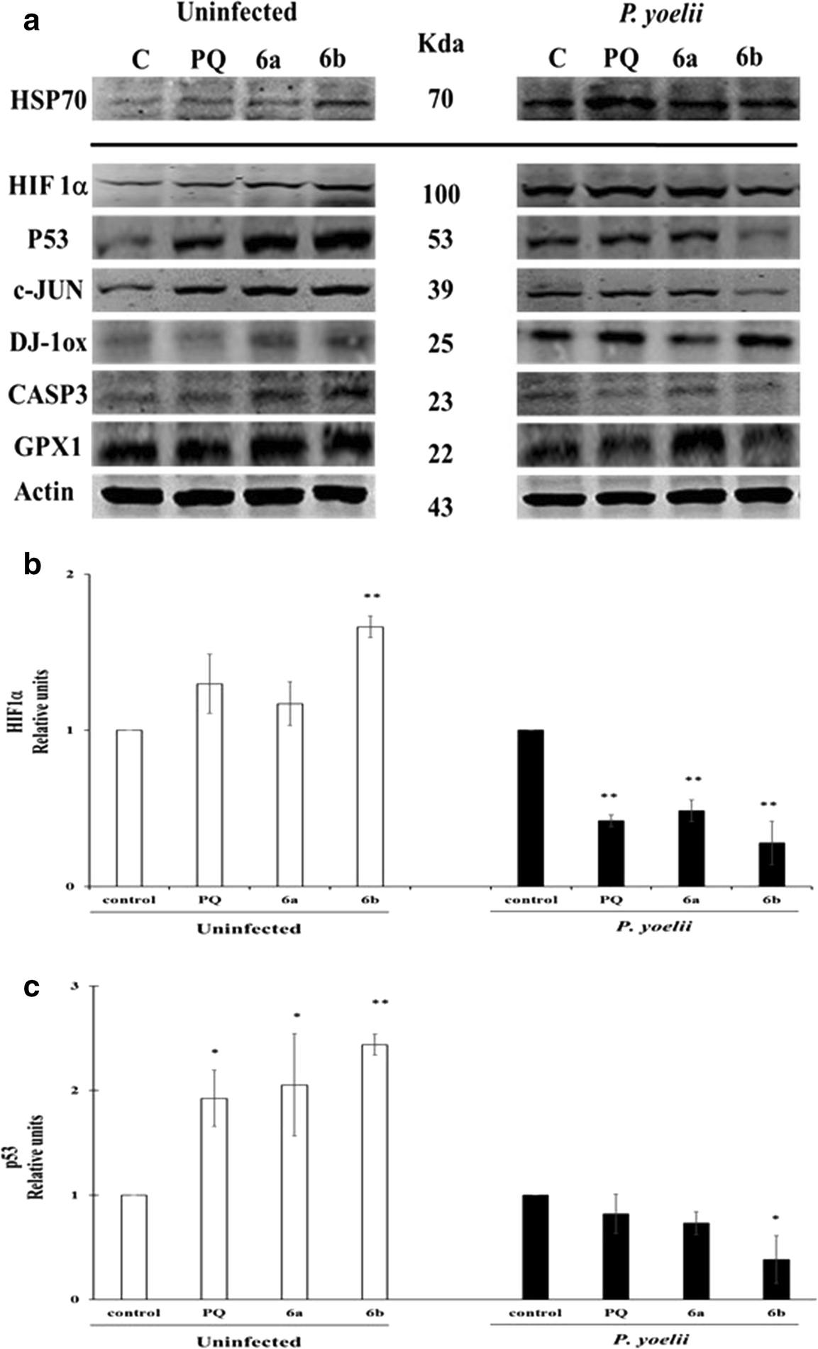 Fig. 7