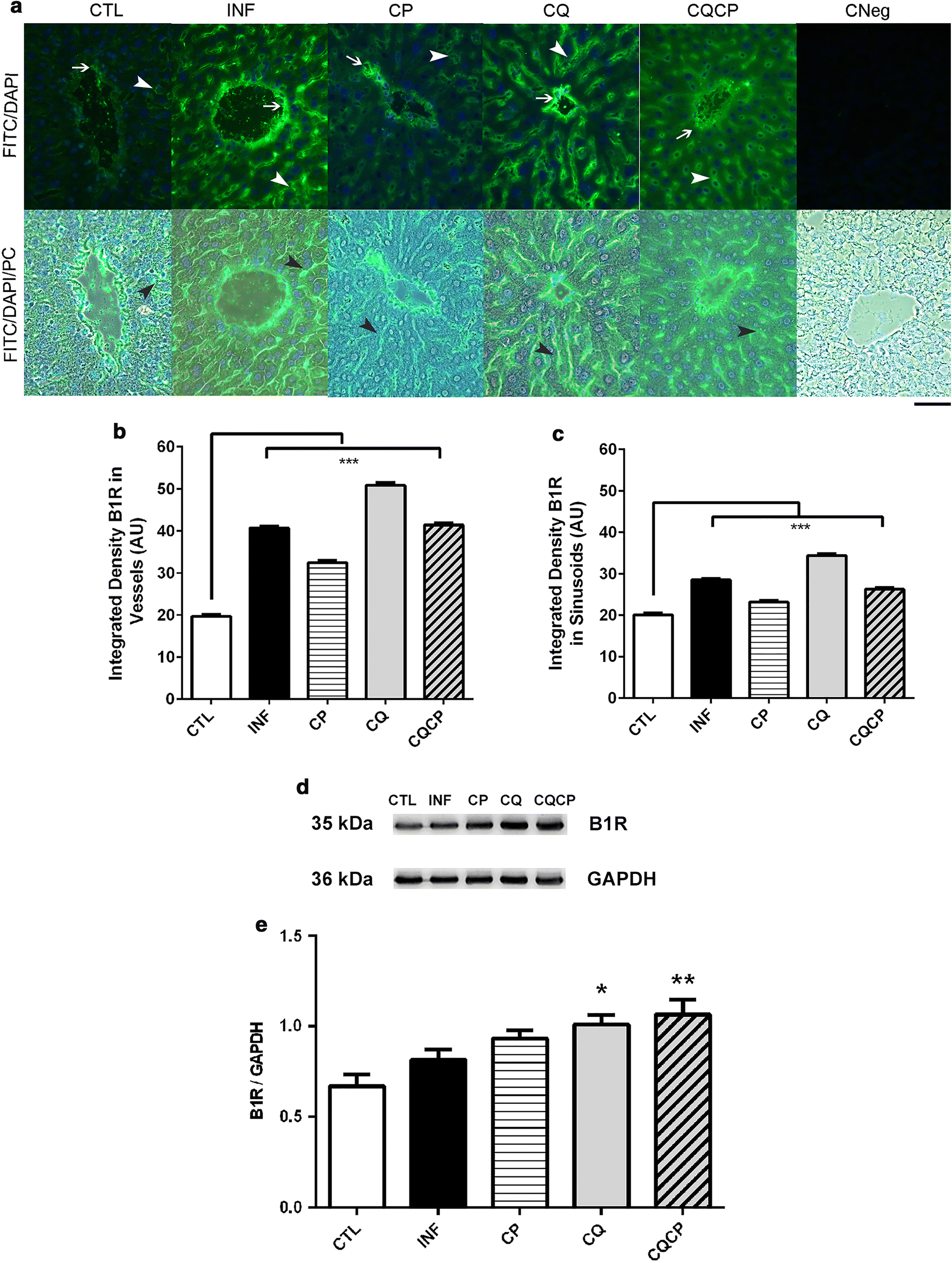 Fig. 4