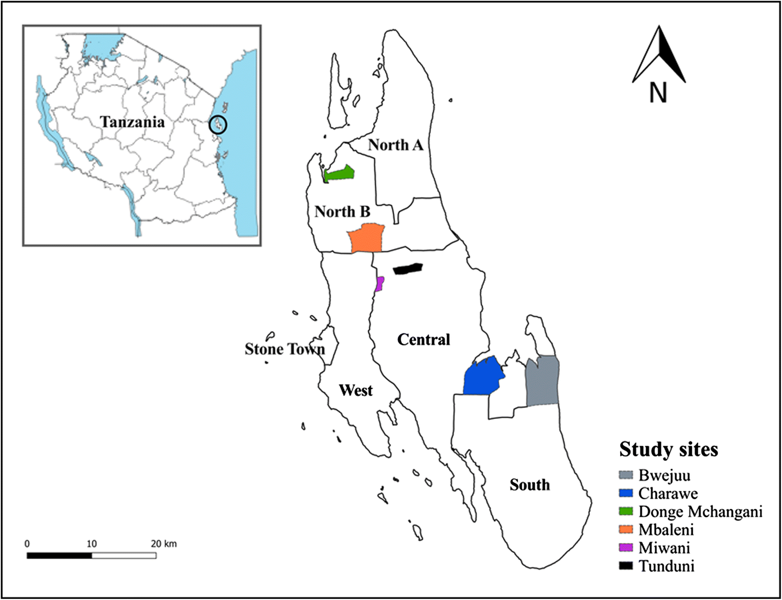 Fig. 1