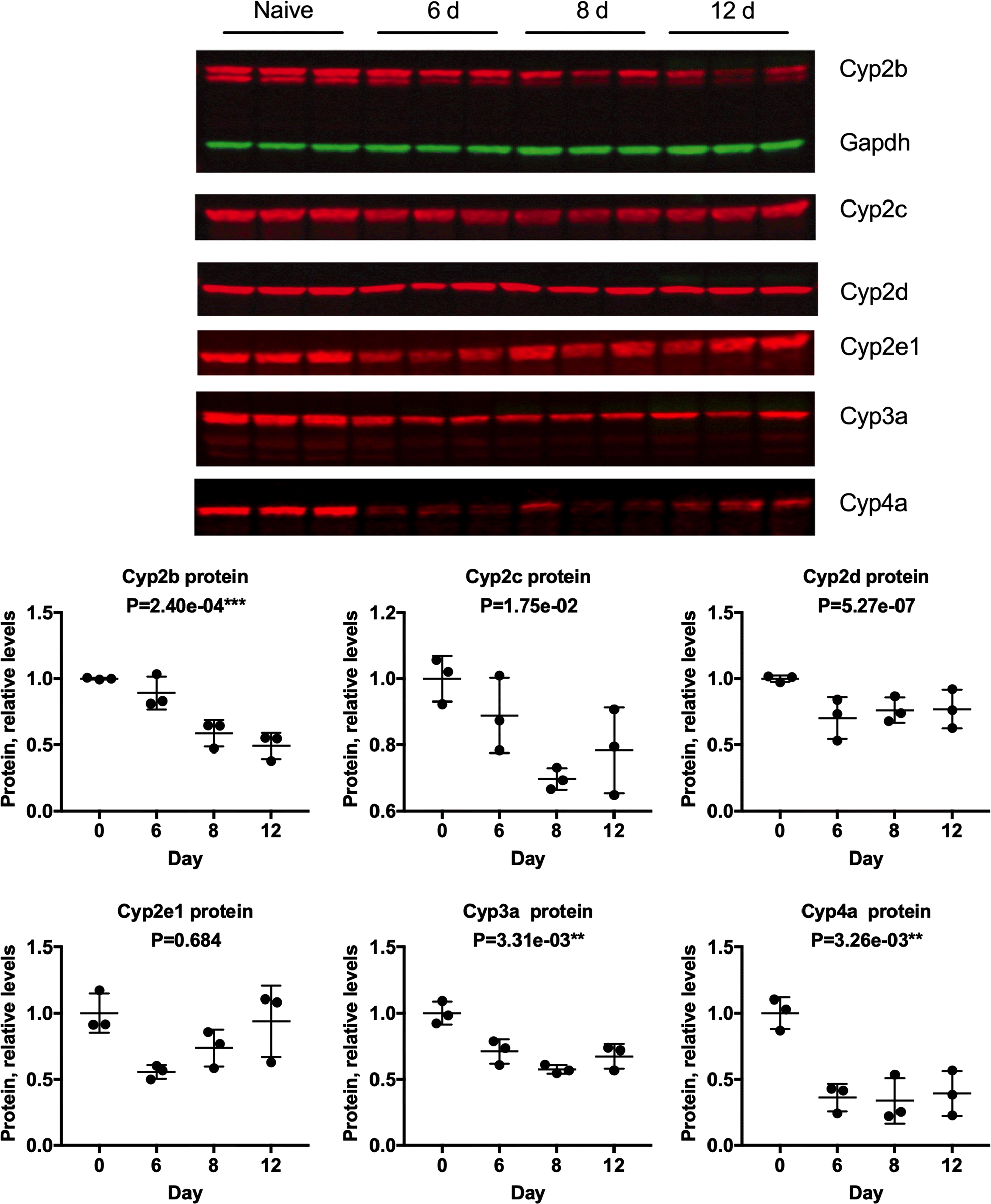 Fig. 6