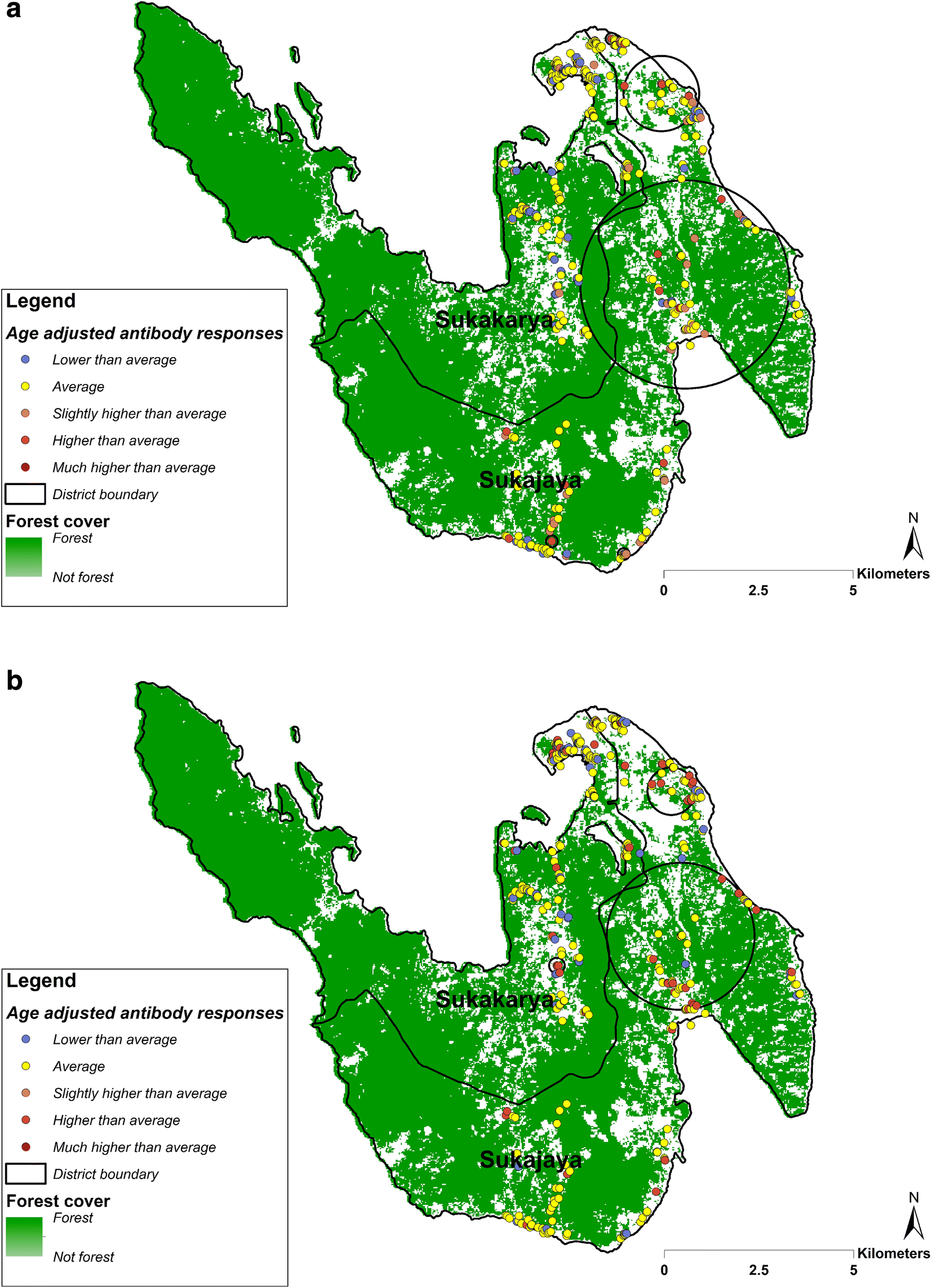 Fig. 3