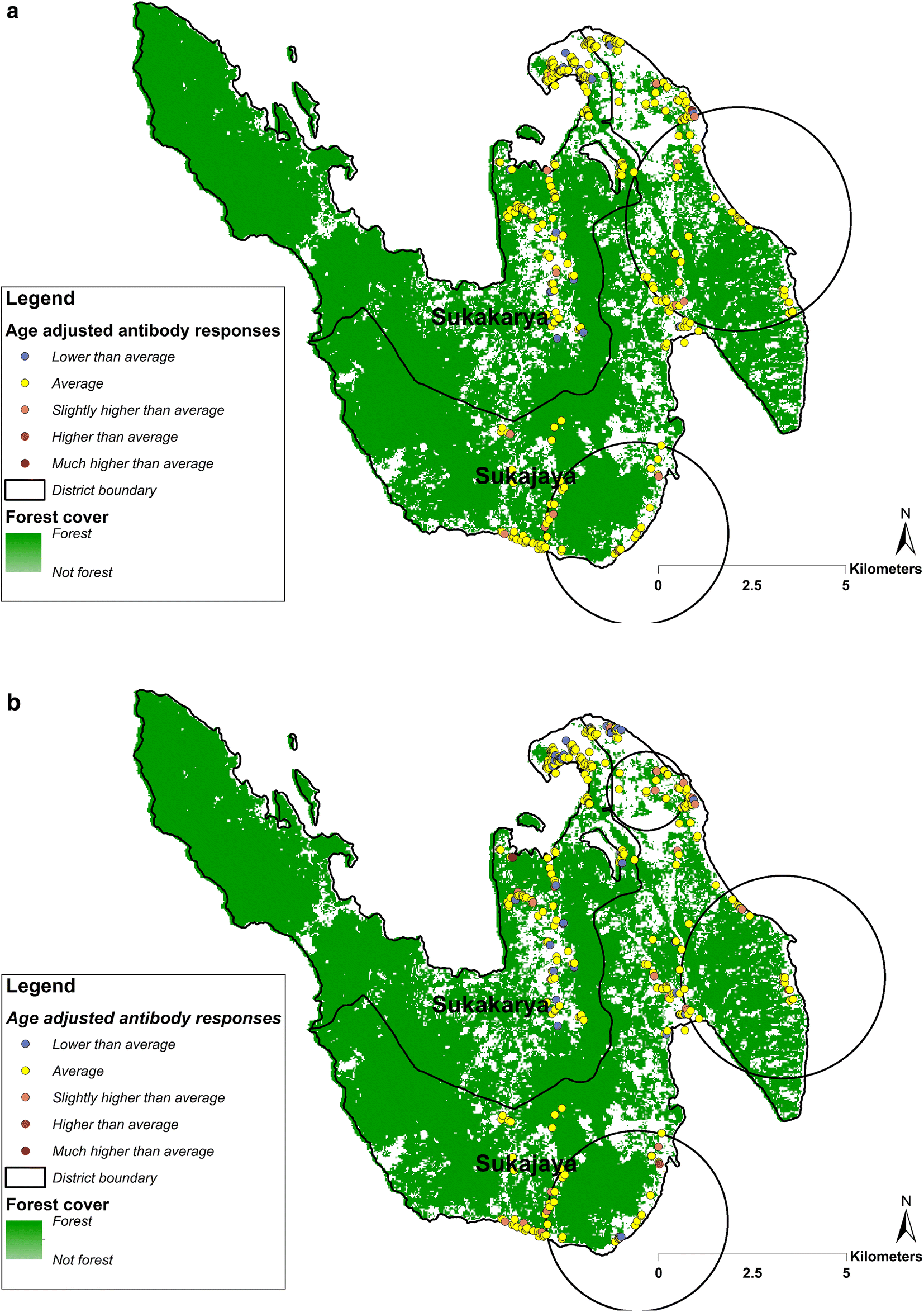 Fig. 4