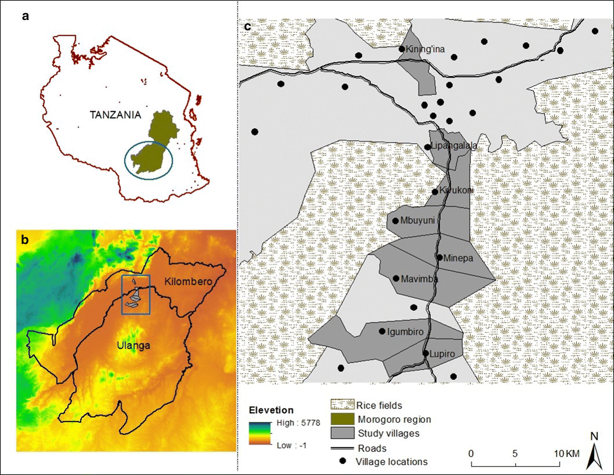 Fig. 1