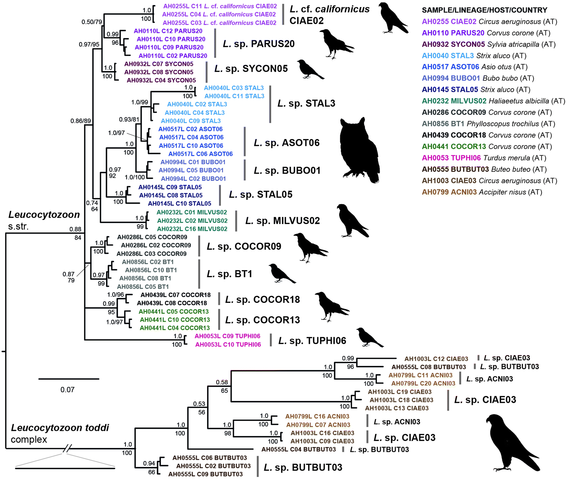 Fig. 4