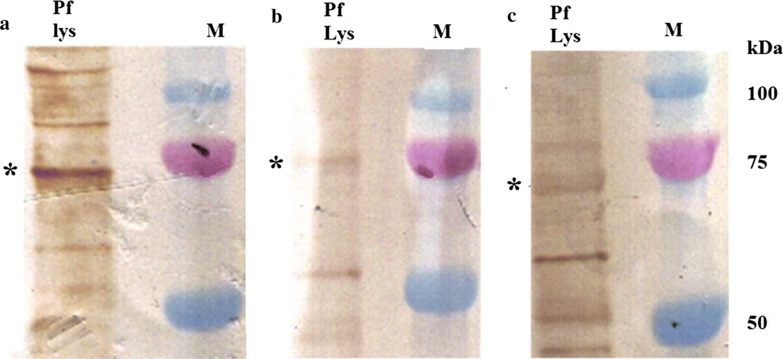 Fig. 5