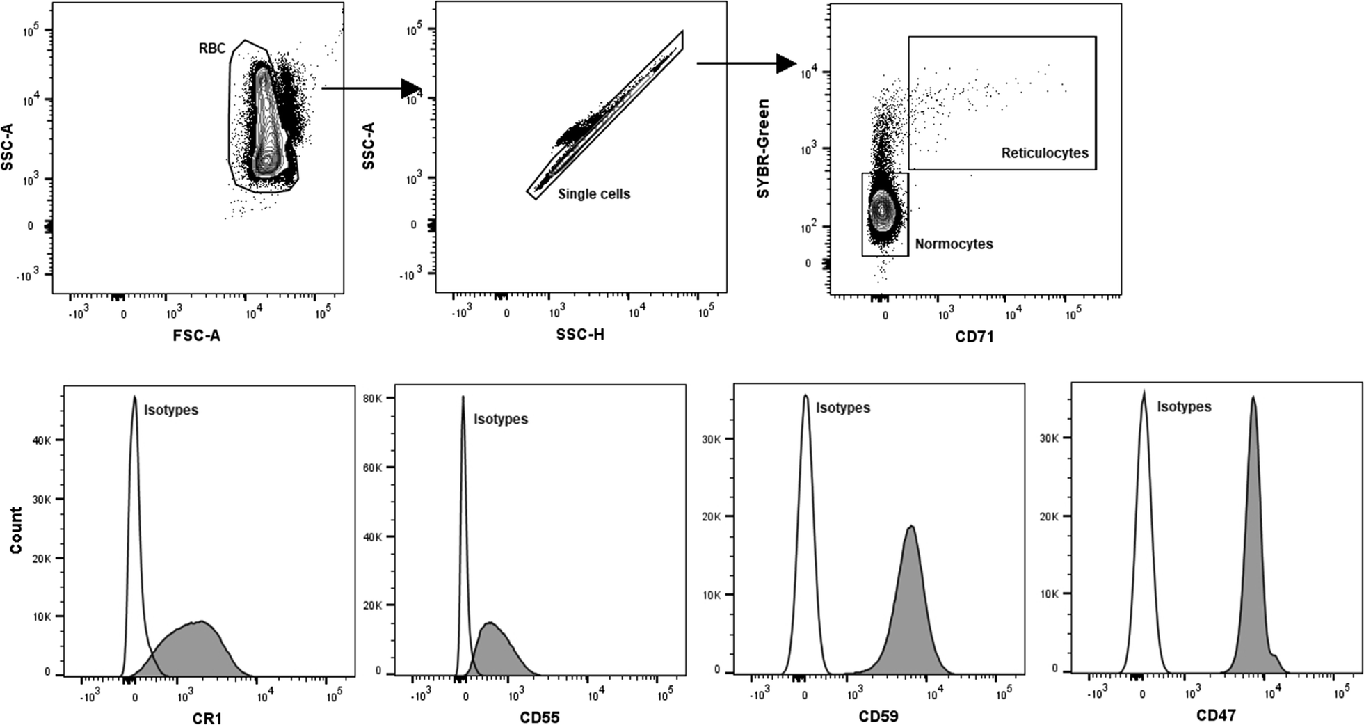 Fig. 1