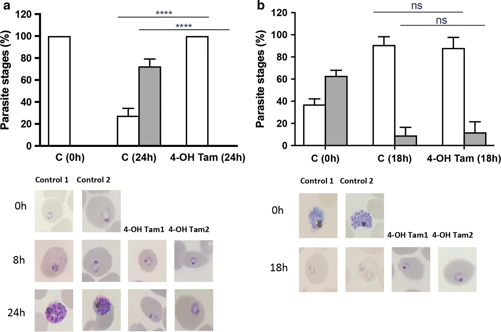 Fig. 2