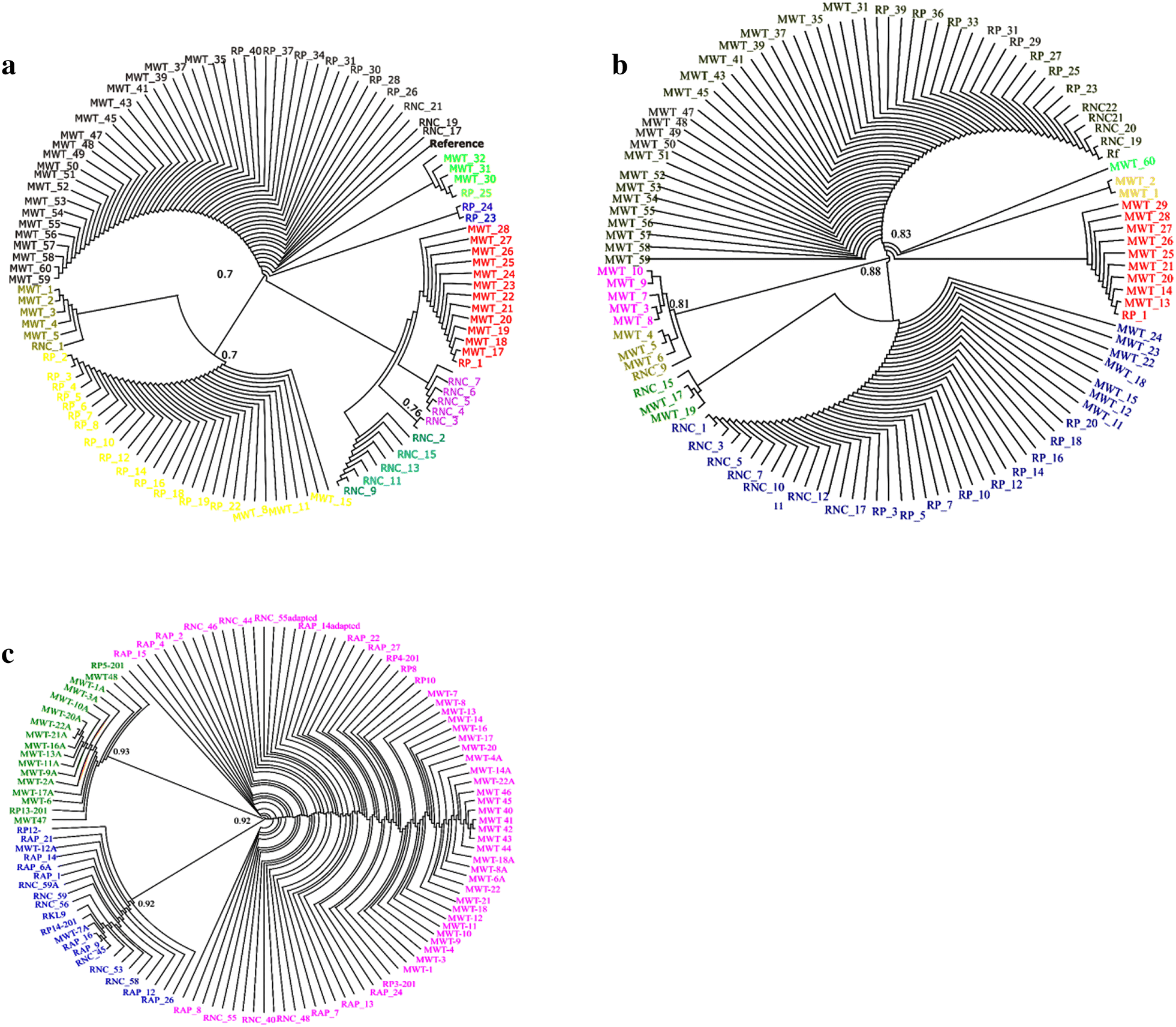 Fig. 3