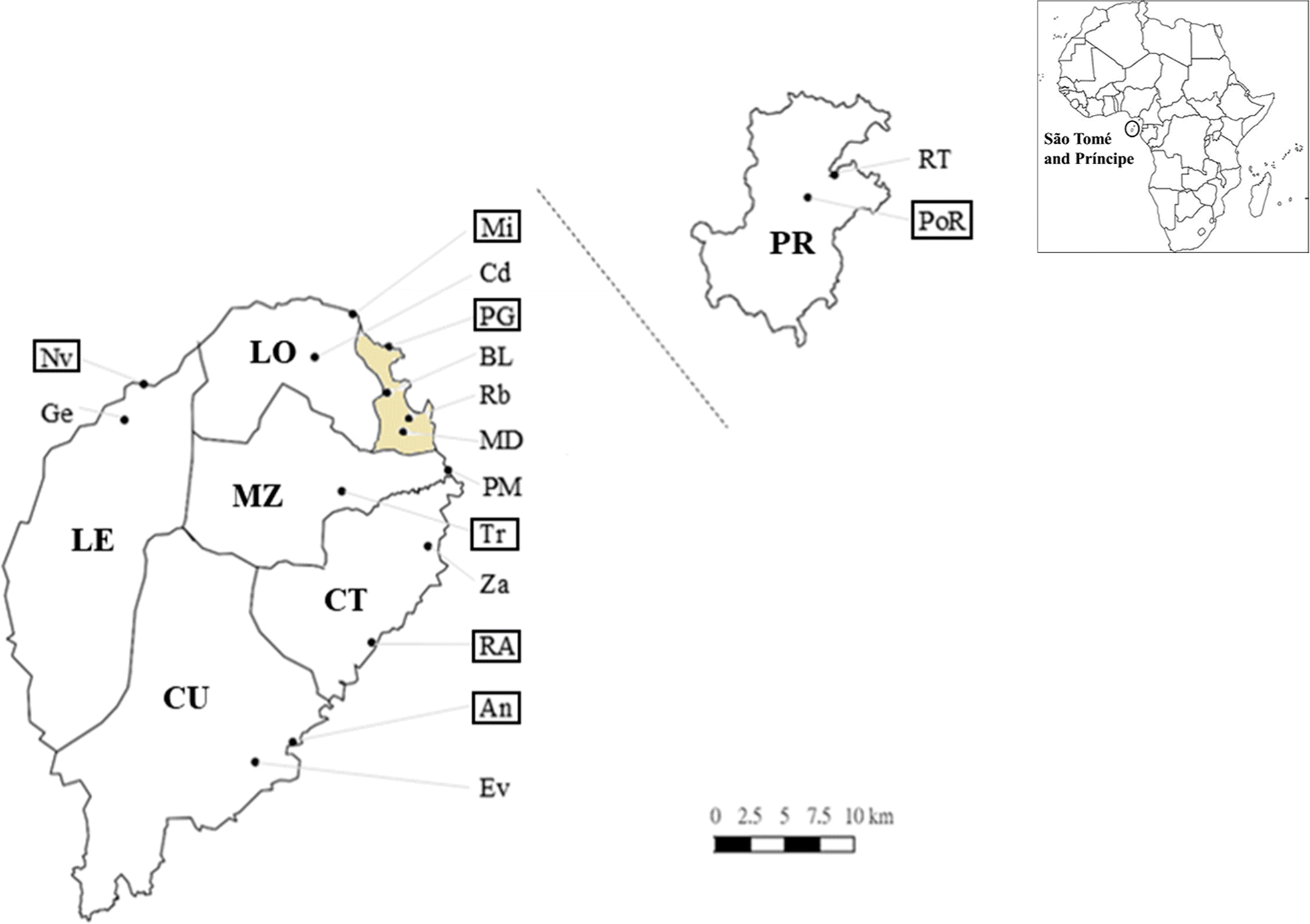 Fig. 1