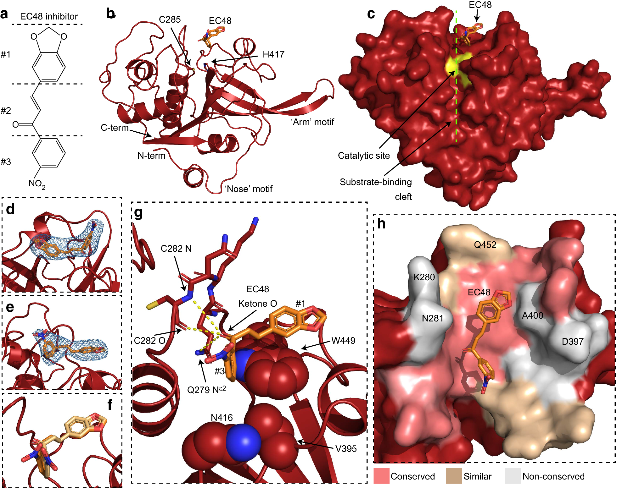 Fig. 1