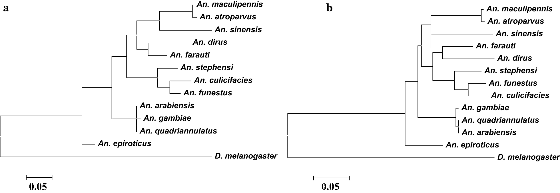 Fig. 5