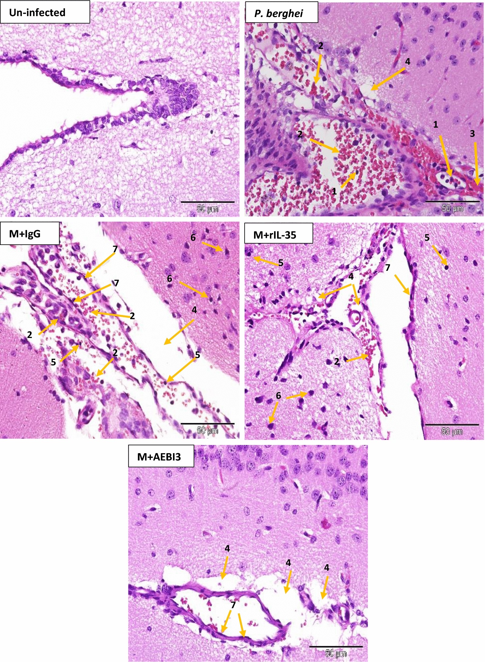 Fig. 7