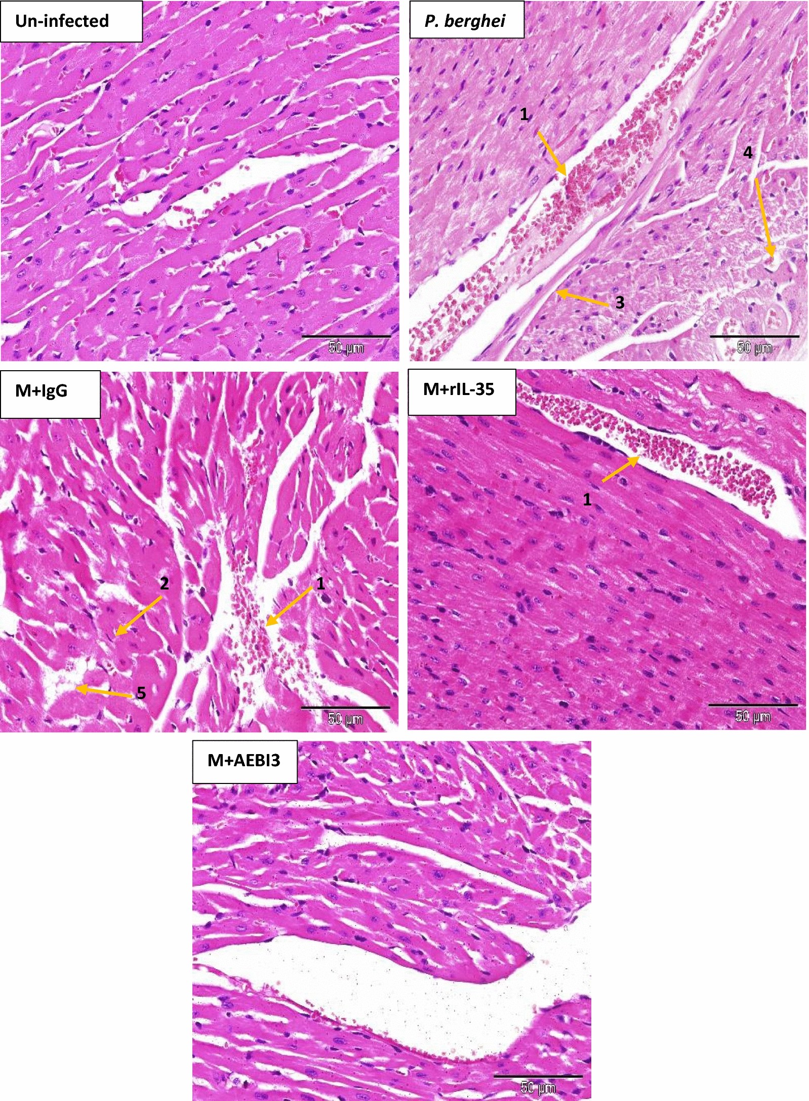 Fig. 9