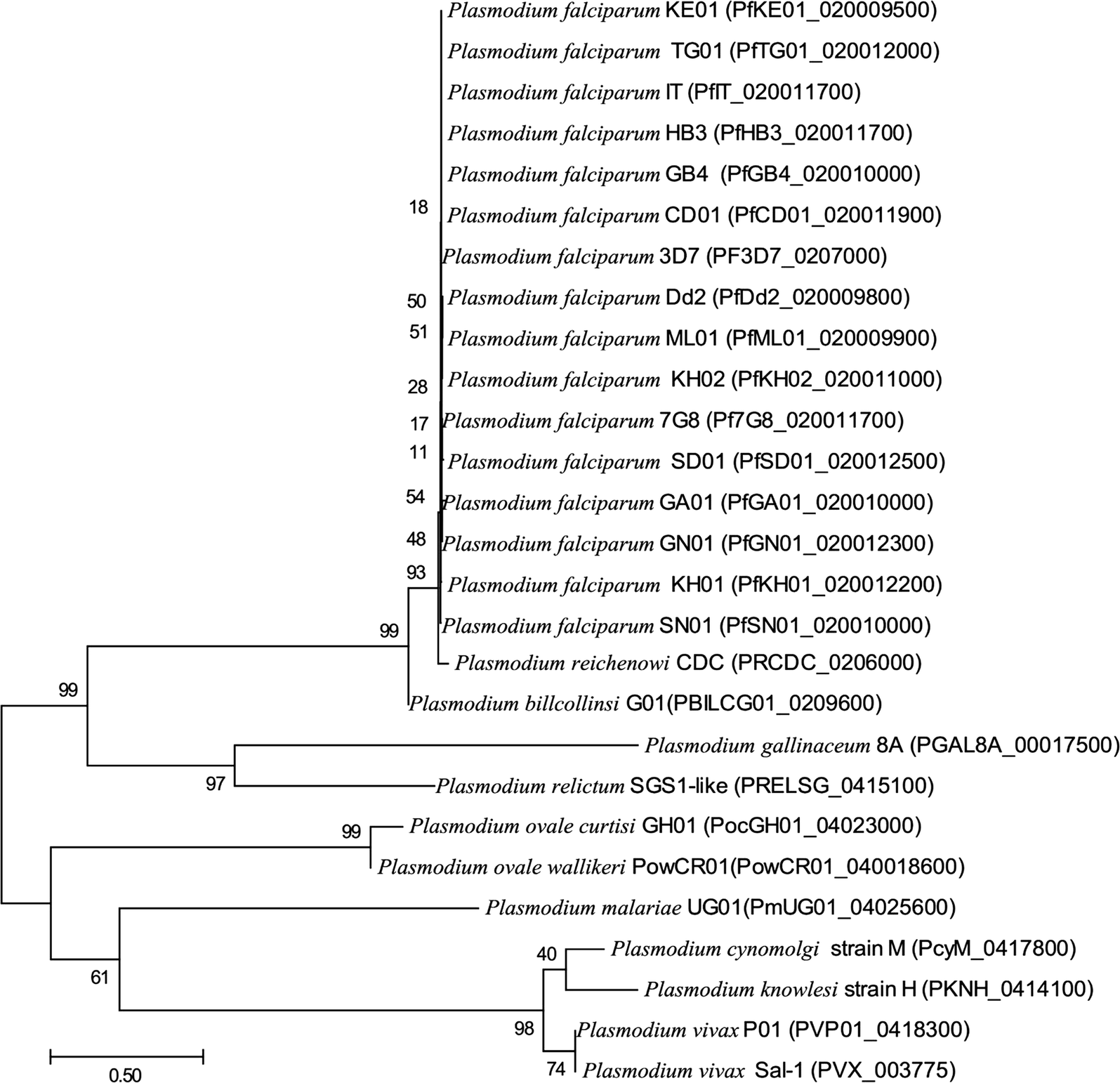 Fig. 1