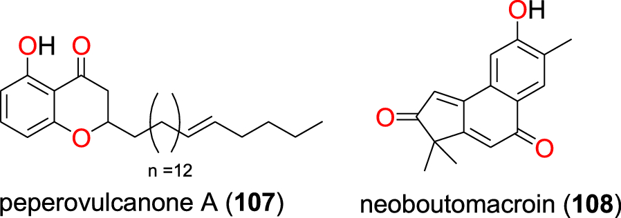 Fig. 21