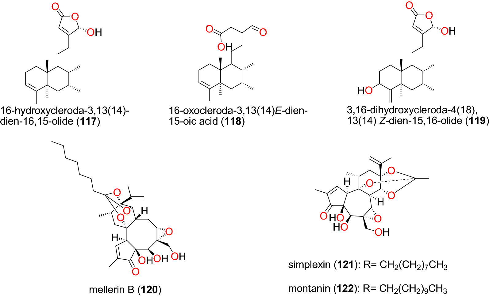 Fig. 25