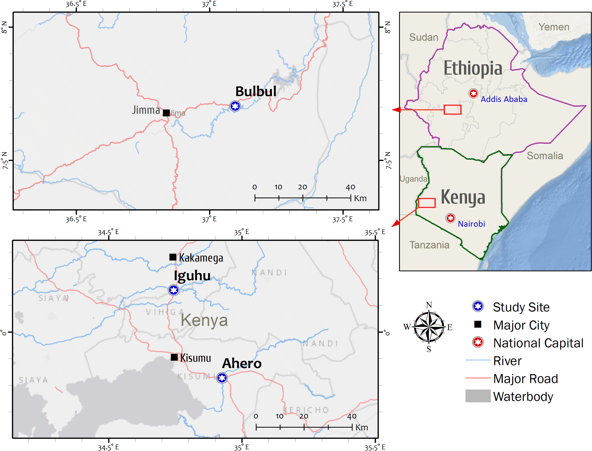 Fig. 1