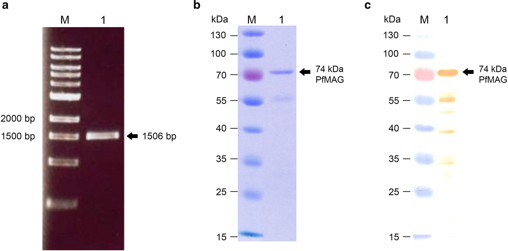 Fig. 3